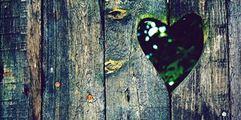 HeartWood Literary Magazine