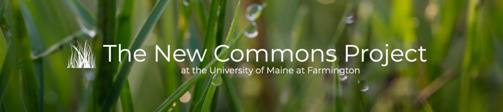 The New Commons Project at the University of Maine at Farmington