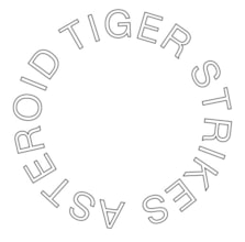 Tiger Strikes Asteroid