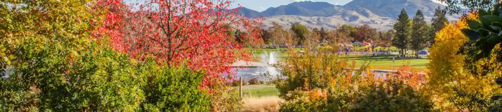 The Gardens at Heather Farm