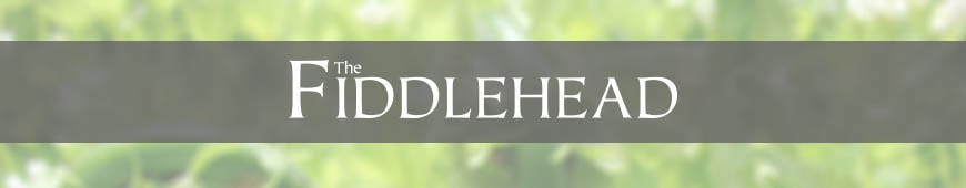 The Fiddlehead