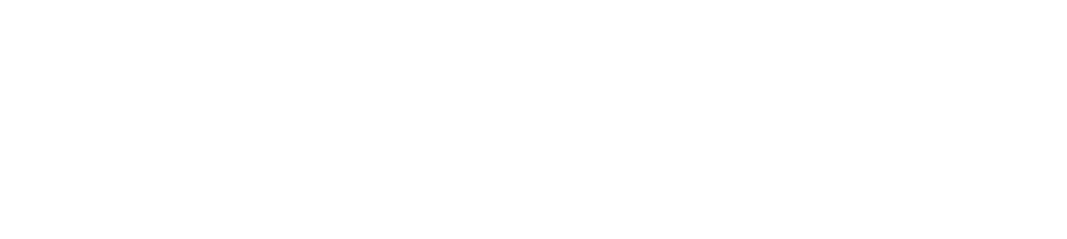 The Elephants