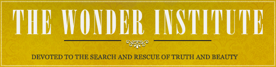 The Wonder Institute
