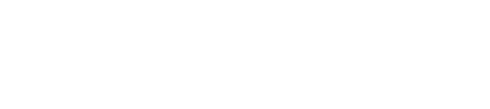Diverse Intelligences Summer Institute