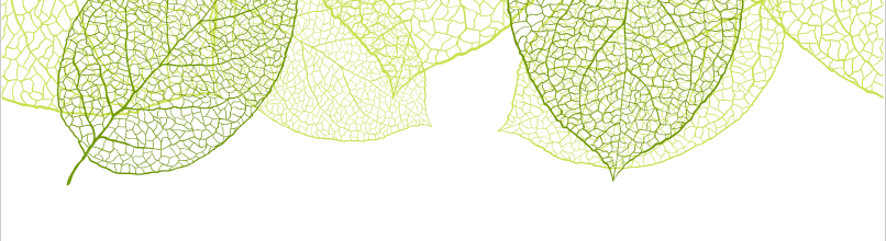 Leaf~Land