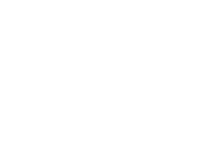 Freshgrass Foundation
