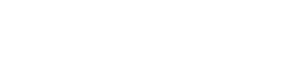 Davidson Honors College