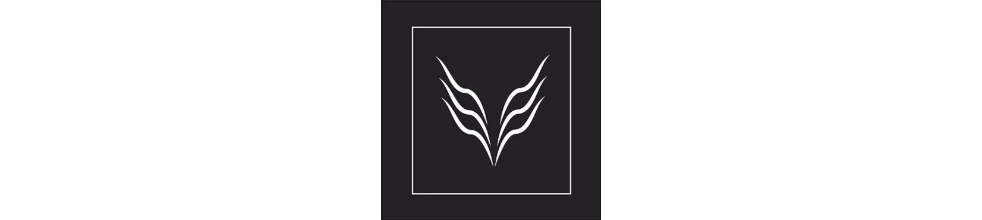 The Phoenix