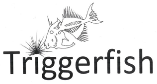 Triggerfish Critical Review