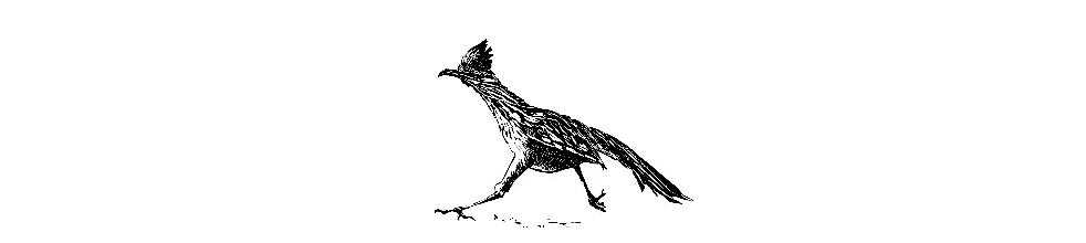 The Roadrunner Review