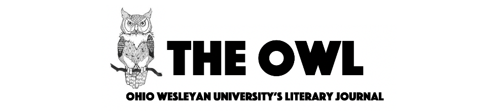 Ohio Wesleyan University's OWL