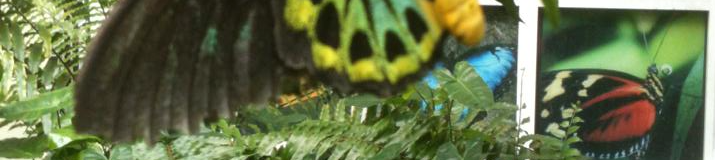 Name Change: Stories of Identity & Transformation