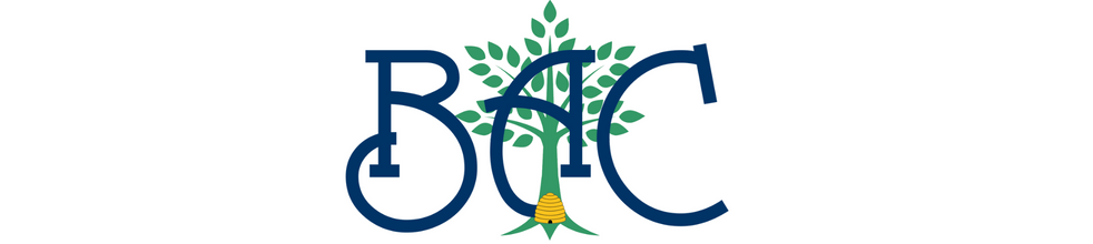 Bethany Arts Community