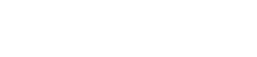 Black Girl Ventures Foundation