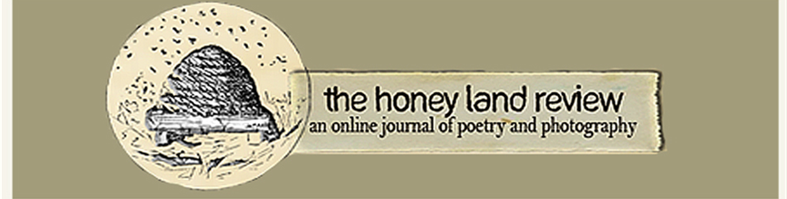 The Honey Land Review
