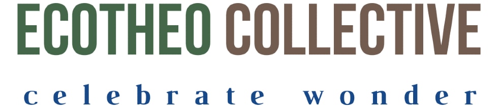 EcoTheo Collective