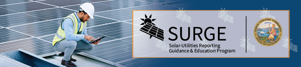 SURGE Program