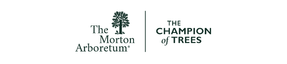 The Morton Arboretum