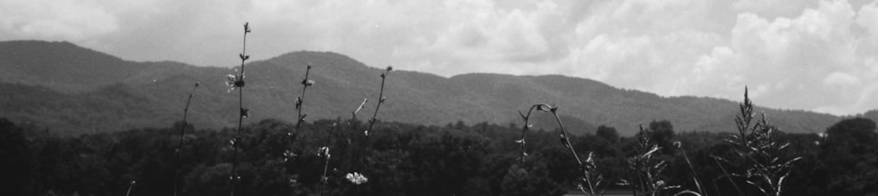 The Swannanoa Review