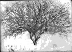 Arizona Literary Guild LLC