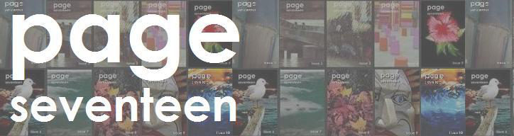 page seventeen general submissions