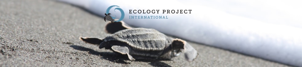 Ecology Project International