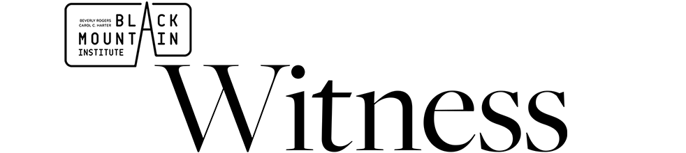 Witness
