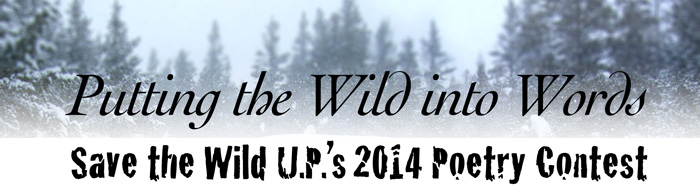 Upper Peninsula Environmental Coalition + the Mining Action Group