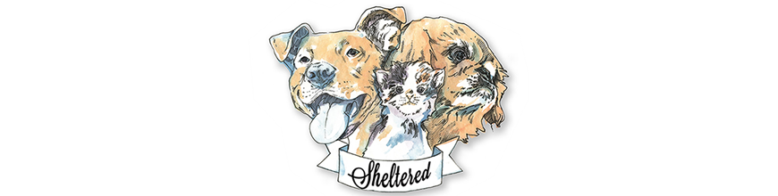 Sheltered: an art benefit for animals at risk