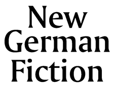New German Fiction