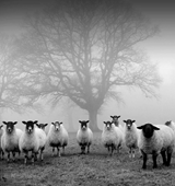 New Flash Fiction Review